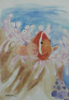 clownfish with Anemone